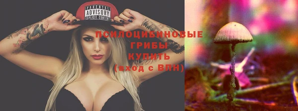не бодяженный Лабытнанги