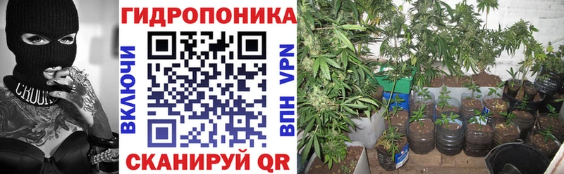 Конопля LSD WEED  блэк спрут как зайти  Партизанск 